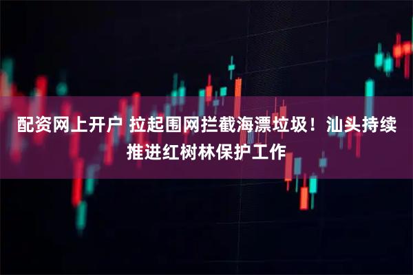 配资网上开户 拉起围网拦截海漂垃圾！汕头持续推进红树林保护工作